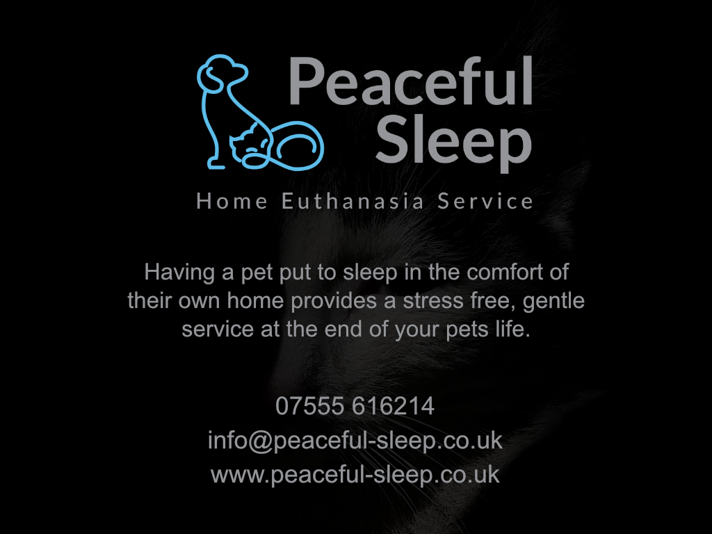 Home Vet Visit Prices Peaceful Sleep Home Euthanasia Service